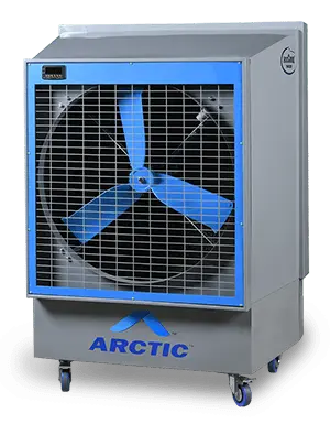 Index yes arctic