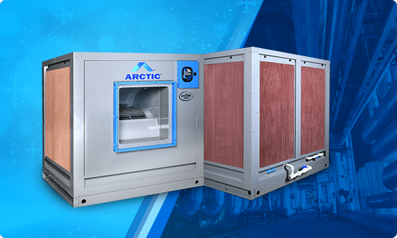 yes arctic
